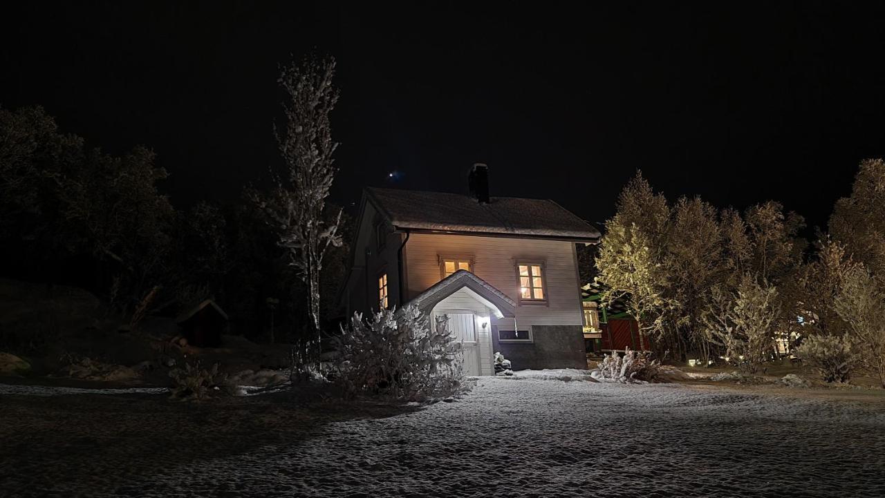 Cabin Magic On Senja, Atmosphere Like A Fairytale Botnhamn Exterior photo