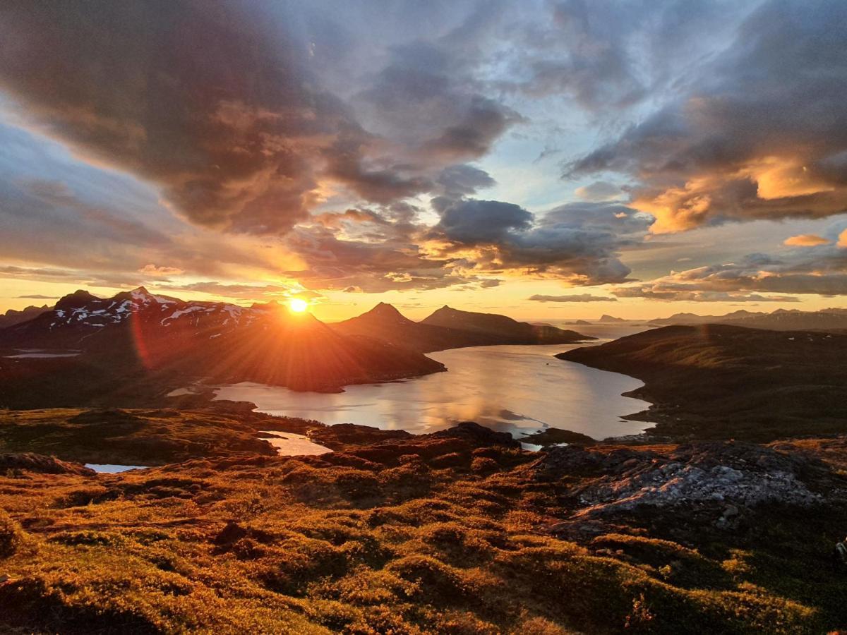 Cabin Magic On Senja, Atmosphere Like A Fairytale Botnhamn Exterior photo