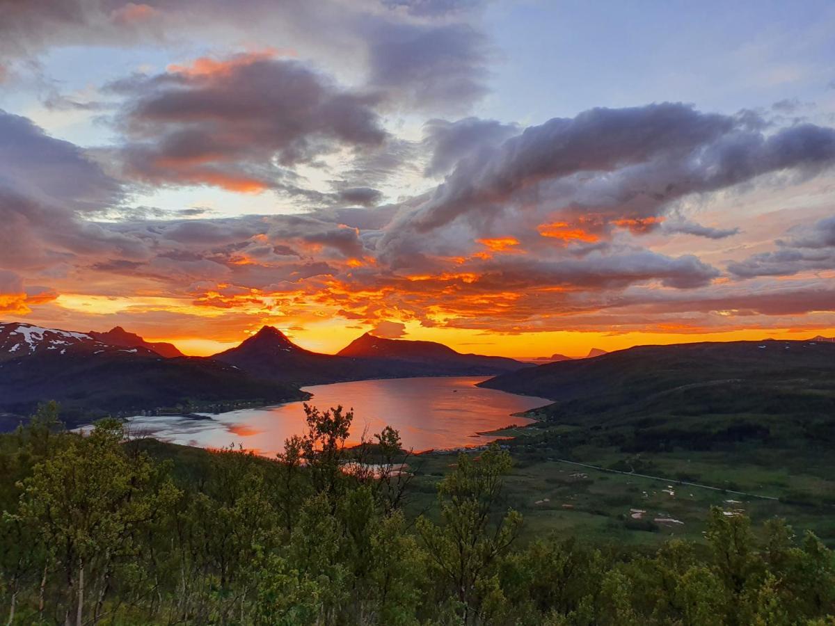Cabin Magic On Senja, Atmosphere Like A Fairytale Botnhamn Exterior photo