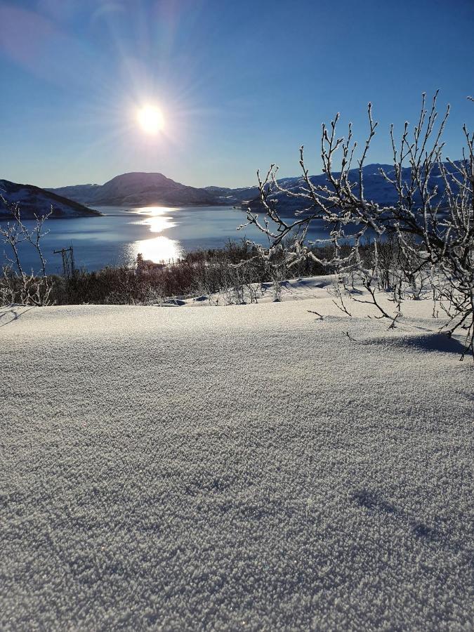 Cabin Magic On Senja, Atmosphere Like A Fairytale Botnhamn Exterior photo