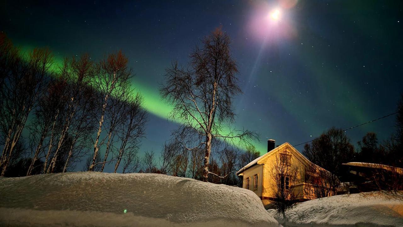 Cabin Magic On Senja, Atmosphere Like A Fairytale Botnhamn Exterior photo