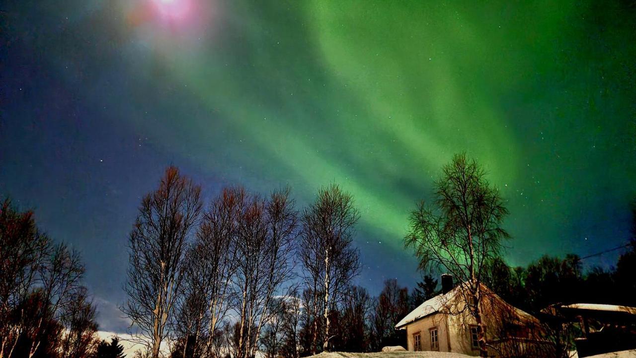 Cabin Magic On Senja, Atmosphere Like A Fairytale Botnhamn Exterior photo