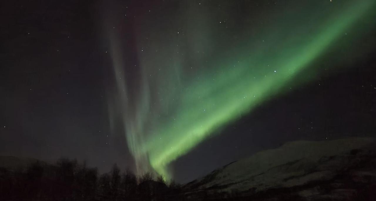 Cabin Magic On Senja, Atmosphere Like A Fairytale Botnhamn Exterior photo