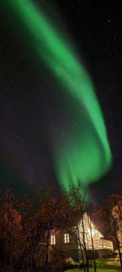 Cabin Magic On Senja, Atmosphere Like A Fairytale Botnhamn Exterior photo